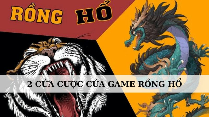 cửa cược của game Rồng Hổ