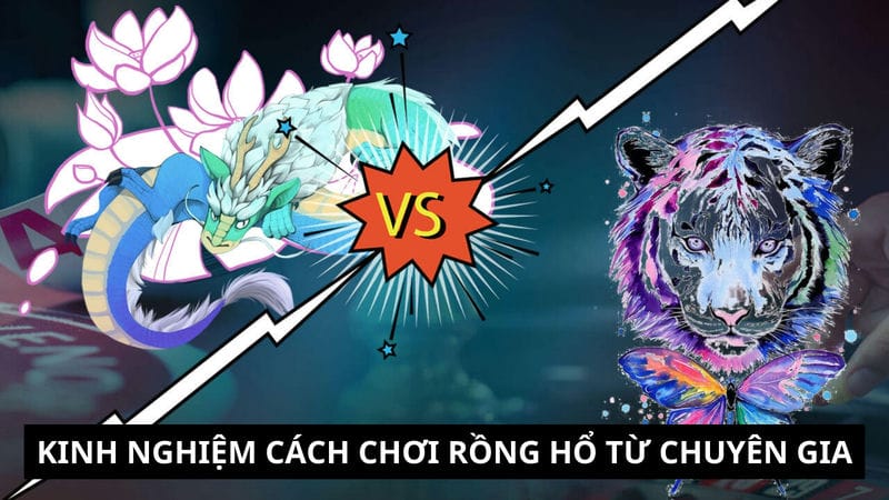  cách chơi rồng hổ từ chuyên gia