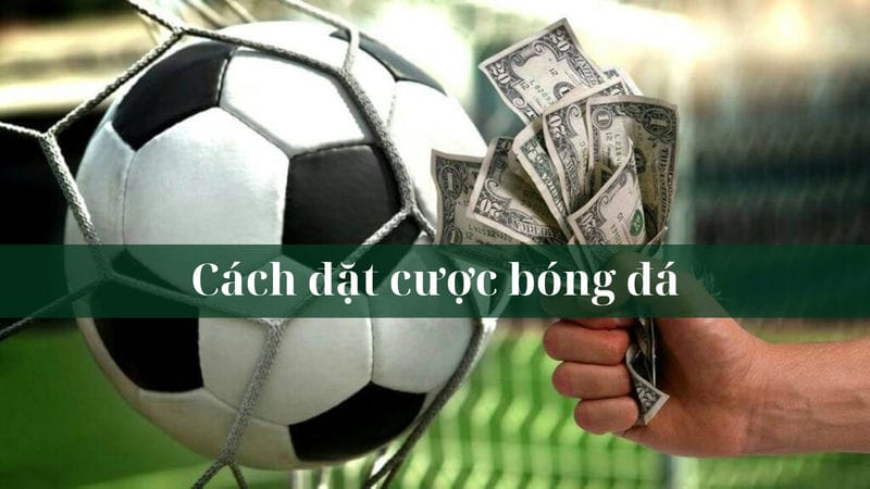 bộ môn cá cược bóng đá