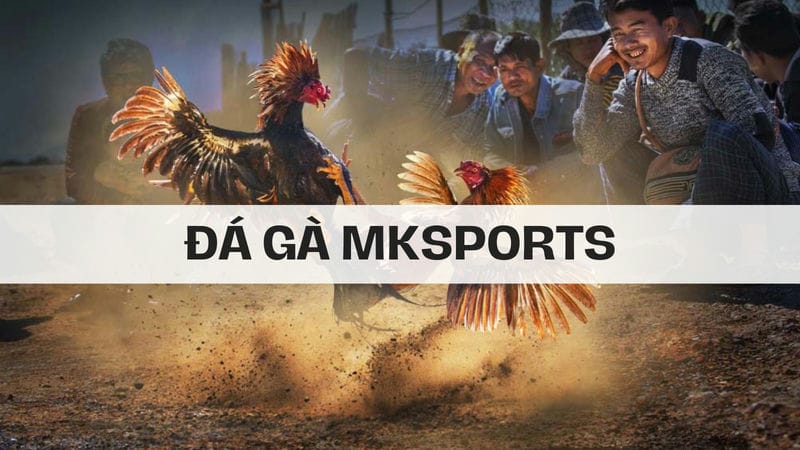 da-ga-mksports 2