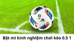 Bật mí kinh nghiệm chơi kèo 0.5 1